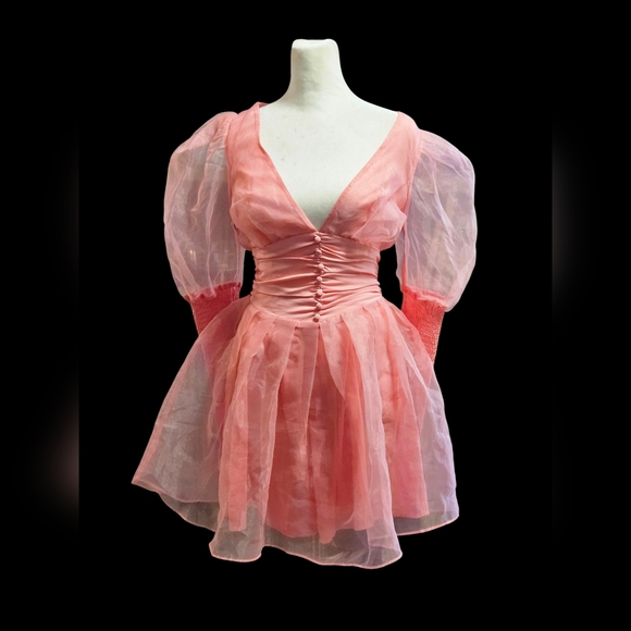 NWT Talk About Forever Organza Mini Dress Sugar Thrillz - Picture 1 of 5